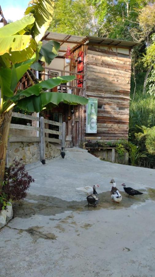 Hotel Selva Verde Salento Bagian luar foto