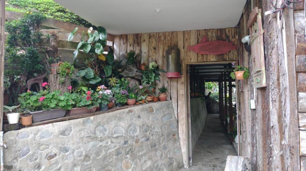 Hotel Selva Verde Salento Bagian luar foto
