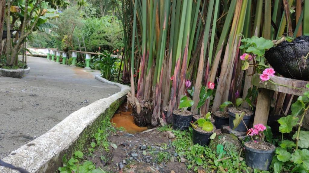 Hotel Selva Verde Salento Bagian luar foto